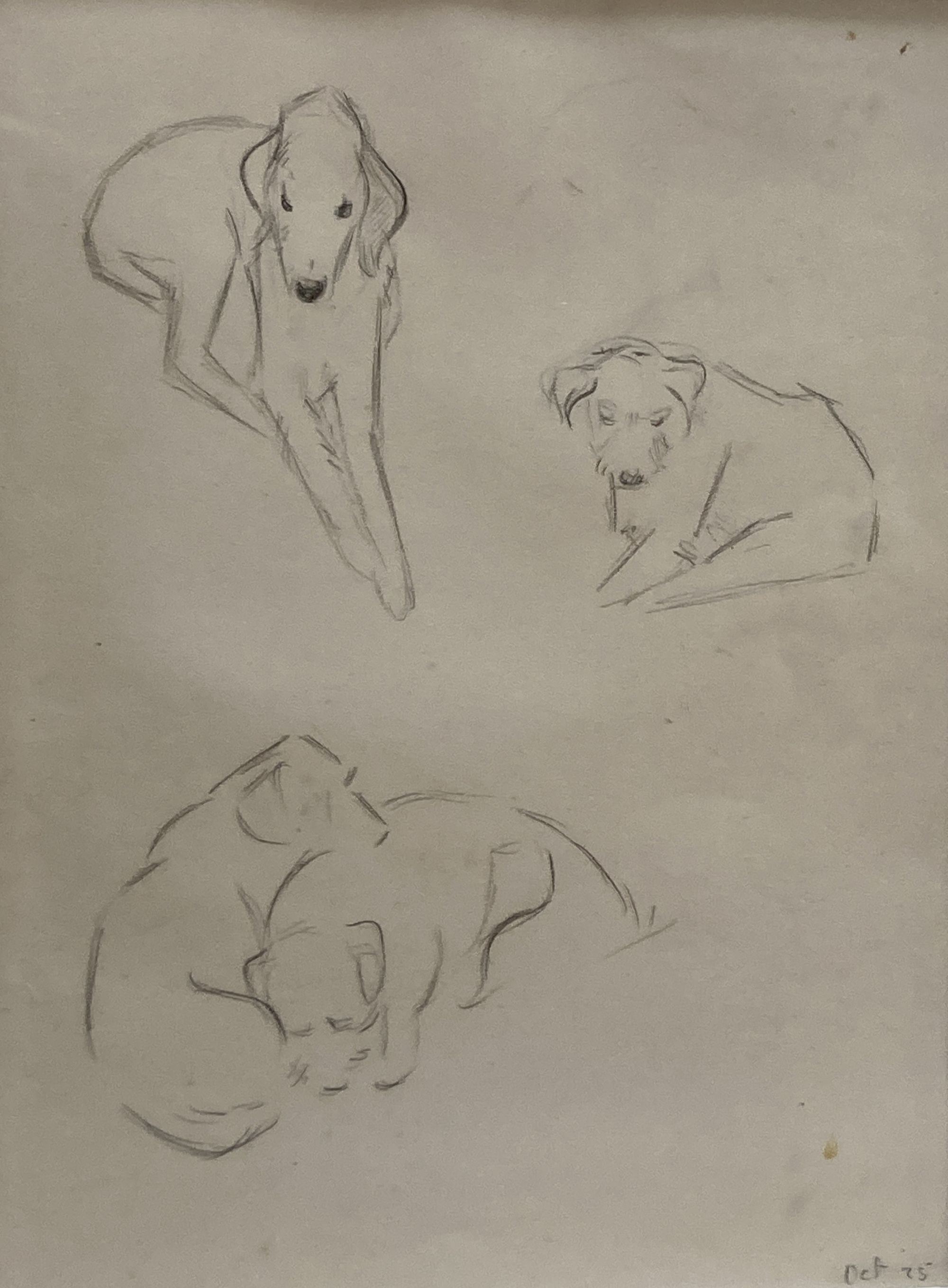 Helen Monro Turner (1901-1997), pencil on paper, Dog studies 1925, The Scottish Gallery label verso, 21 x 16cm